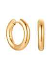 Lenny Hoops