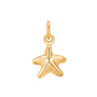 Starfish Charm