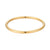 Hinge Bangle